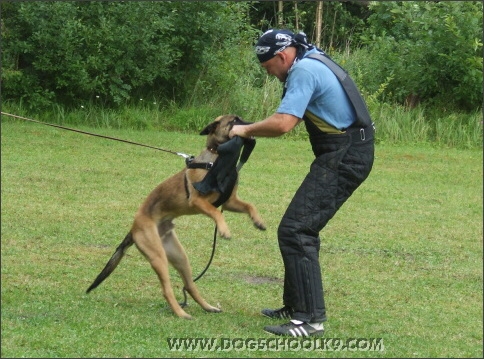 Summer training camp in Estonia 2007